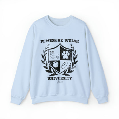 light sky blue Pembroke Welsh Corgi University College Academy dog lover pet gift men women sweatshirt