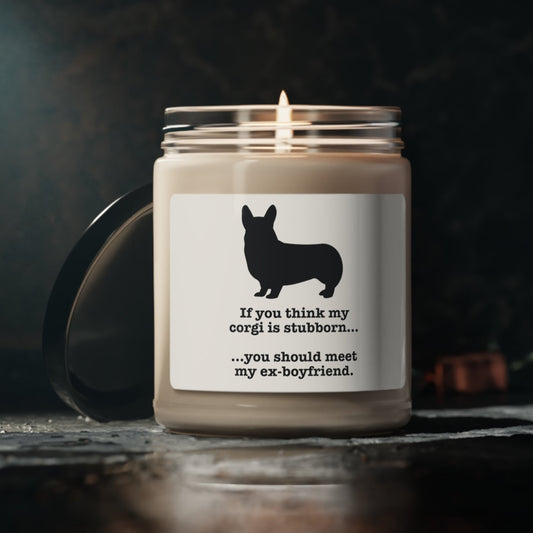 Stubborn Pembroke Welsh Corgi I Hate My Ex Boyfriend Soy Organic Scented Candle
