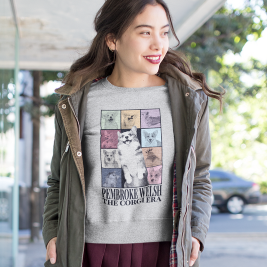 corgi sweatshirt swift fan Taylor pop music tour women men shirt