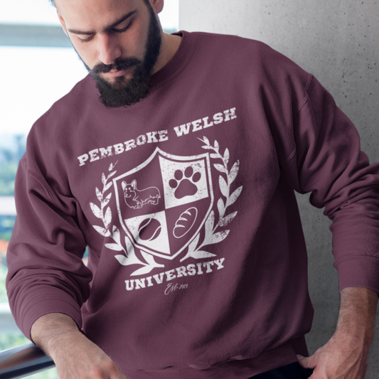 Pembroke Welsh Corgi University College Academy dog lover pet gift men women sweatshirt